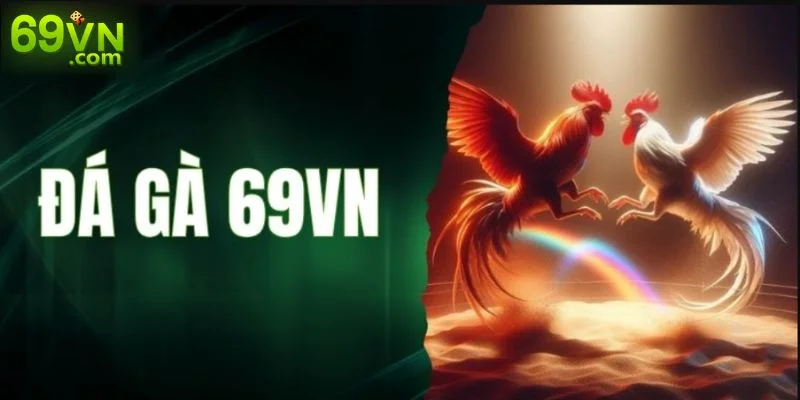 Đá gà là sảnh chơi không thể bỏ qua cho những tín đồ đam mê môn thể thao “chọi kê”.